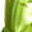 Fluorescent Green, variant on vastwit 2-Pieces Baby Alien Outfit Toddler Boys Girls Metallic Jumpsuit with Antenna Headband Fluorescent Green 12-18M