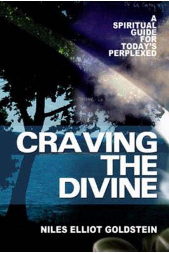 Pre-Owned Craving the Divine: A Spiritual Guide for Today's Perplexed (Paperback) 1587680432 9781587680434