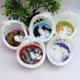 thumbnail image 4 of Gwong Juguete Simulación linda gatos gatito sonido peluche muñeca juguete canasta canasta decoración del hogar Gwong 30003977, 4 of 7