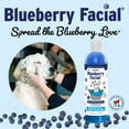 thumbnail image 4 of Champú para mascotas South Bark's Blueberry Facial 355 ml, 4 of 9