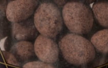 Frederik's Dark Chocolate Coconut Dusted Almonds, 9 Ounces (2 Bags)