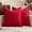 Red, variant on Pack of 2 Decorative Velvet Throw Pillow Cover Soft Pillowcase Solid Square Cushion Case for Spring Sofa Bedroom Car 16x16 Inch Hot Pink