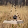 thumbnail image 5 of Perky-Pet Hanging Tray Bird Feeder - 1.6 lb Capacity, 5 of 5