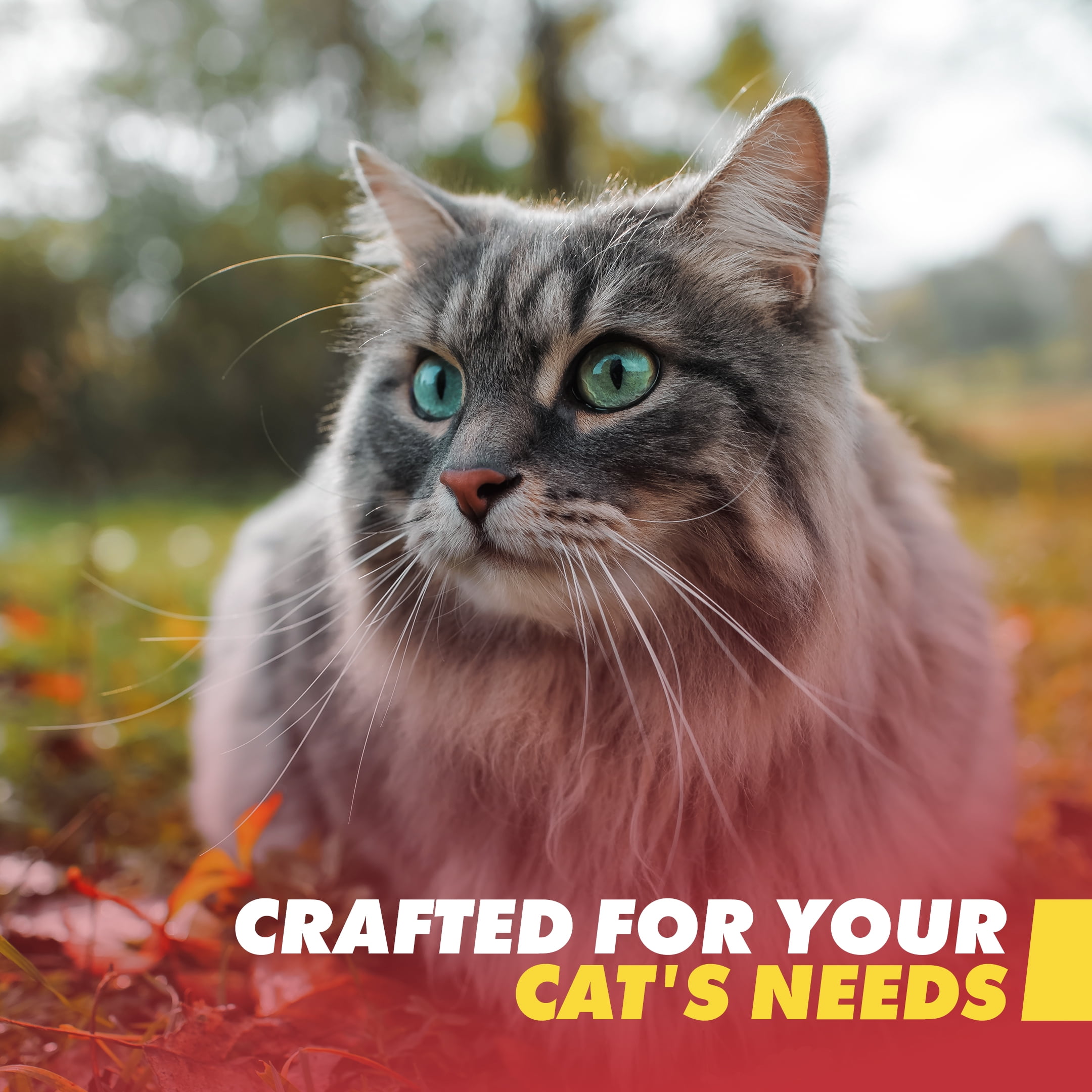 Cat Emergency Survival Kit - Bug Out Preparedness Kit for Emergencies, Traveling and More