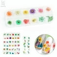 thumbnail image 5 of Gustavedesign 12 Colors Nail Dried Flowers, 3D Nail Art Sticker DIY for Tips Manicure Decor Mixed Accessories, Starry Leaves Flower Box Set, 5 of 8