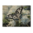 thumbnail image 3 of Designart "Butterfly Haven Blue Black I" Animals Print on Natural Pine Wood, 3 of 5