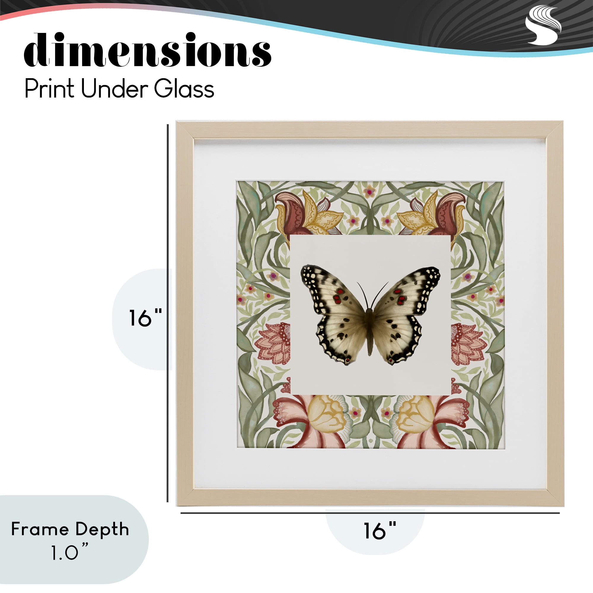 Stupell Industries Warm Toned Baroque Butterfly Birch Framed Print Under Glass, design by Elizabeth Medley