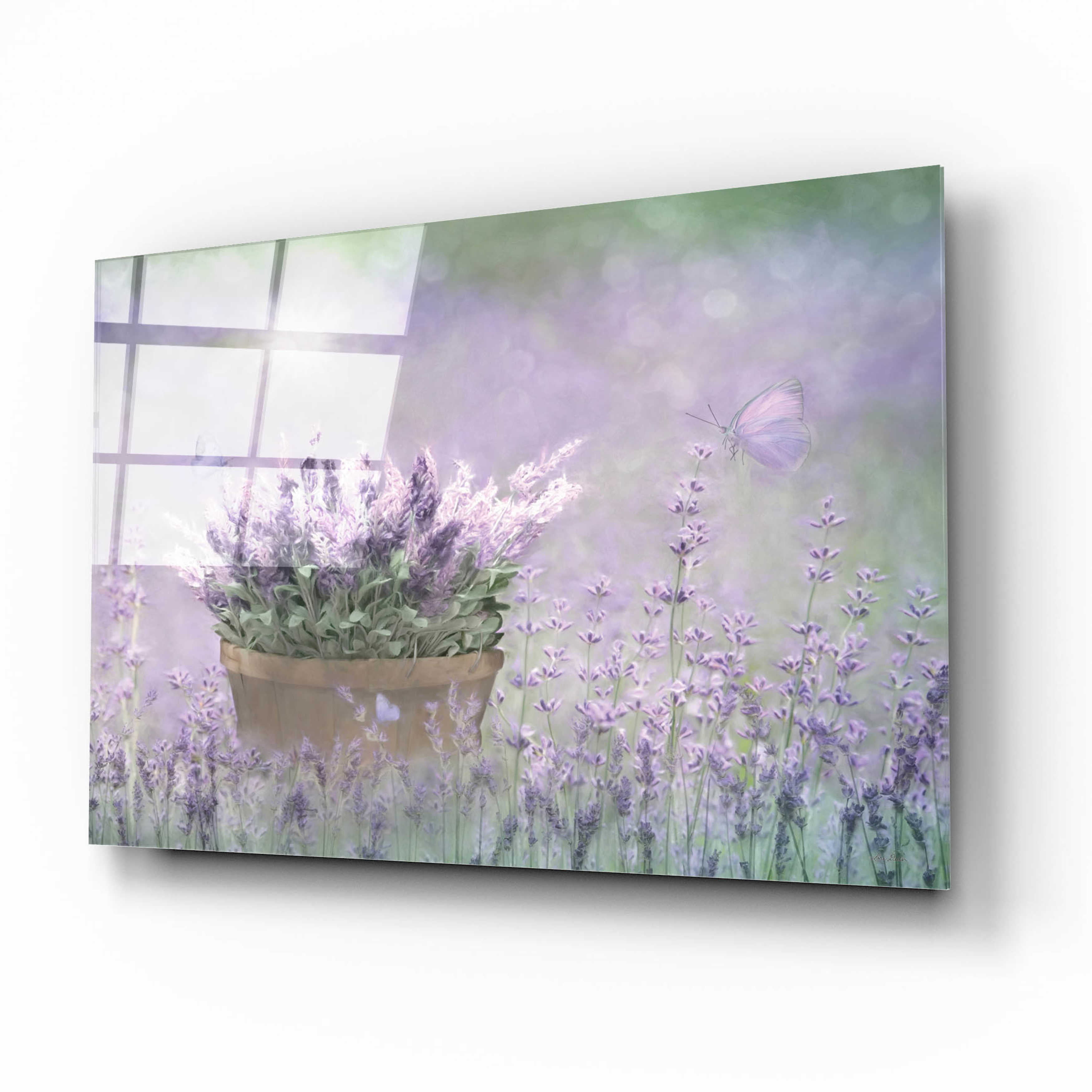 Acrylic Glass Wall Art 'Lavender Planter' by Lori Deiter
