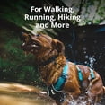 Curated visual reference: Lightweight Reflective No Pull Dog Lift Harness For Hiking Running Photo Inspiration
