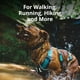 thumbnail image 3 of Arnés para perros RUFFWEAR Flagline, ligero, reflectante, gris basalto, 3 of 9