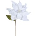 thumbnail image 1 of Vickerman QG162701 White Poinsettia Flower, 22 & 12 in., 1 of 1