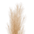 thumbnail image 4 of Bouclair Natural Faux Stem, 4 of 7