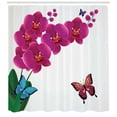 thumbnail image 3 of Ambesonne Orchids Shower Curtain, Pink Bouquet Butterflies, 69"Wx84"L, Multicolor, 3 of 3