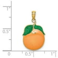 thumbnail image 2 of 14k Gold Enamel Orange With Stem and Leaf 2-d Charm 17x13.45mm Wide 2mm Thick Pendant Necklace for Women, 2 of 2