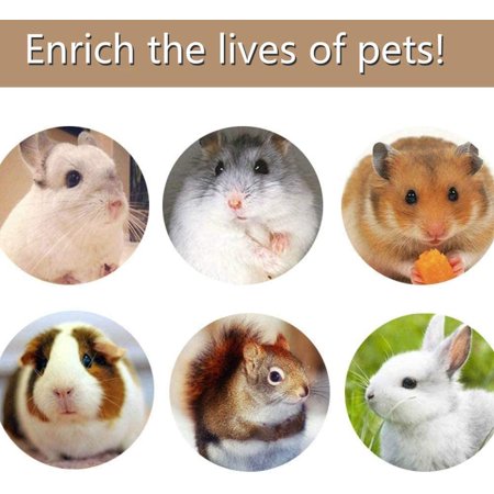 Hamster Guinea Pig Toys Natural Wooden Play Toy Exercise Bell Roller Teeth Care Molar Toy For Guinea Pig Chinchilla Hamster Parrot Bunny Fun Pet Balls Small Pets Play Toy Walmart Canada