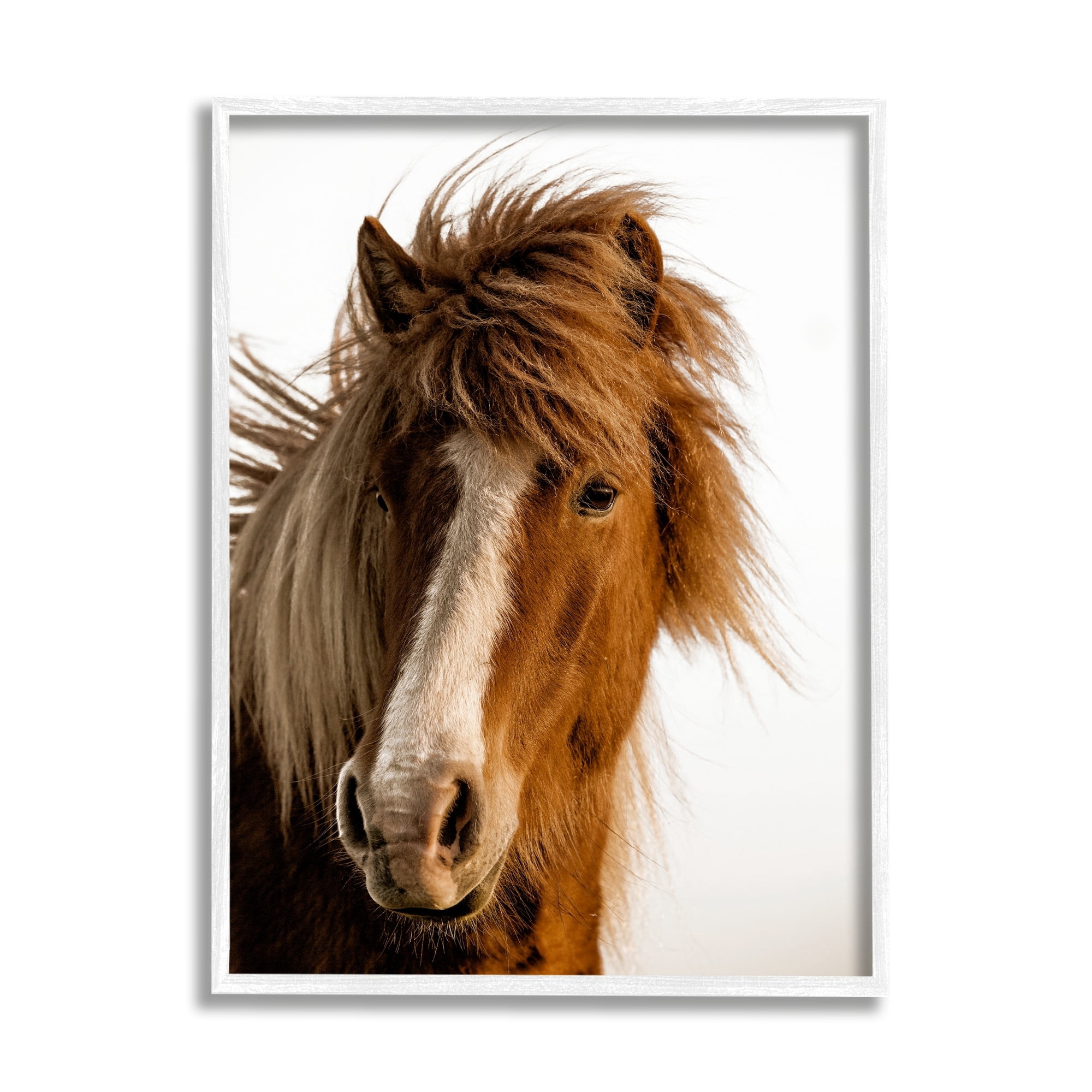 Stupell Industries Long Mane Horse Equestrian Portrait Brown Animal Photograph, 16 x 20, Design by Danita Delimont