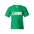 thumbnail image 1 of Youth Lions T-Shirt For Girls and Boys - XS To XL, 1 of 4