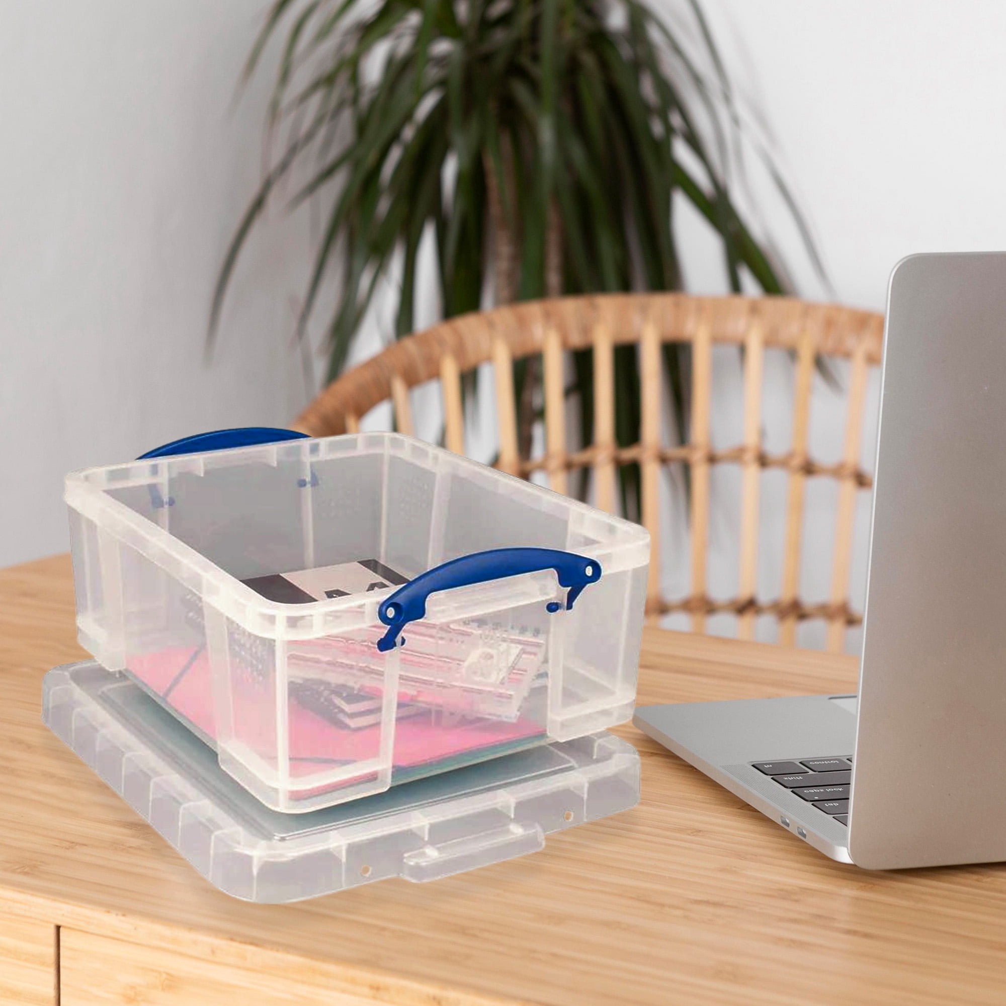 Really Useful Box 17L Storage Container w/ Lid & Clip Lock Handles(10 Pack)