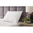 thumbnail image 2 of Signature Design by Ashley Zephyr 2.0 100% Cotton Cover with Hypoallergenic Fiberfill Pillow, 2 Count, White, 2 of 5