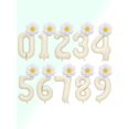 thumbnail image 1 of 3pcs 40Inch Cream White Number And Small Daisy Foil Balloons Set For 0-9 Kids Birthday Party Supplies, 1 of 3