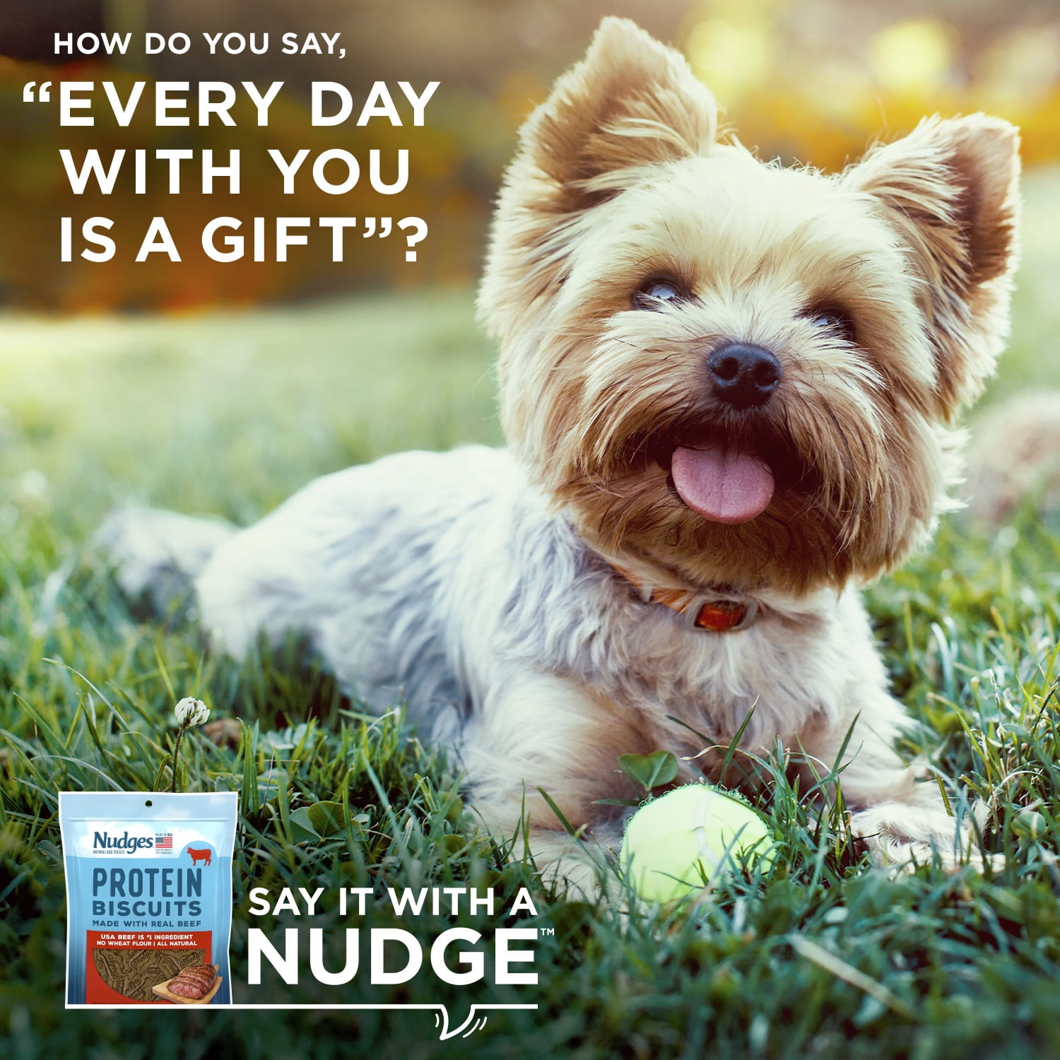 Nudges® Natural Dog Treats Protein Biscuits Made with Real Beef, 16 oz