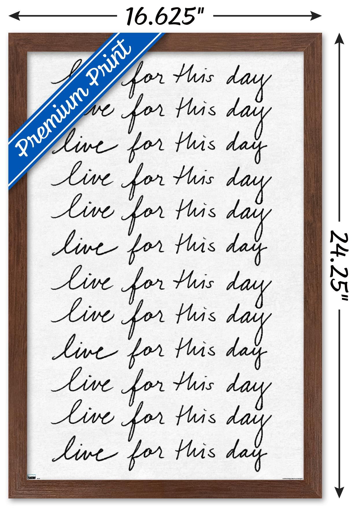 Ali Zoe - Live for This Day Wall Poster, 14.725" x 22.375", Framed