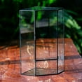 thumbnail image 5 of NCYP Geometric Large Glass Terrarium with Door, for Plants, Moss Wall Landscapes 6.1" x 6.1" x 11.8" (Terrarium Only), 5 of 9