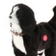thumbnail image 3 of Juguetes Interactivos,Figuras de juguete interactivas de peluche de mascotas electrónicas,Mascota electrónica interactiva de peluche de peluche,Juguetes de animales que caminan a batería, 3 of 9