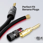 GEARit Pro Series 14 AWG Speaker Cable 100ft with 12 Banana Plugs (6 Pairs) - CCA Copper Clad Aluminum, Audio Sound Wire, Black