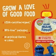 (3 pack) Earth's Best Organic Immune Support Toddler Food, Banana Orange Pineapple Smoothie, 4 oz Pouch