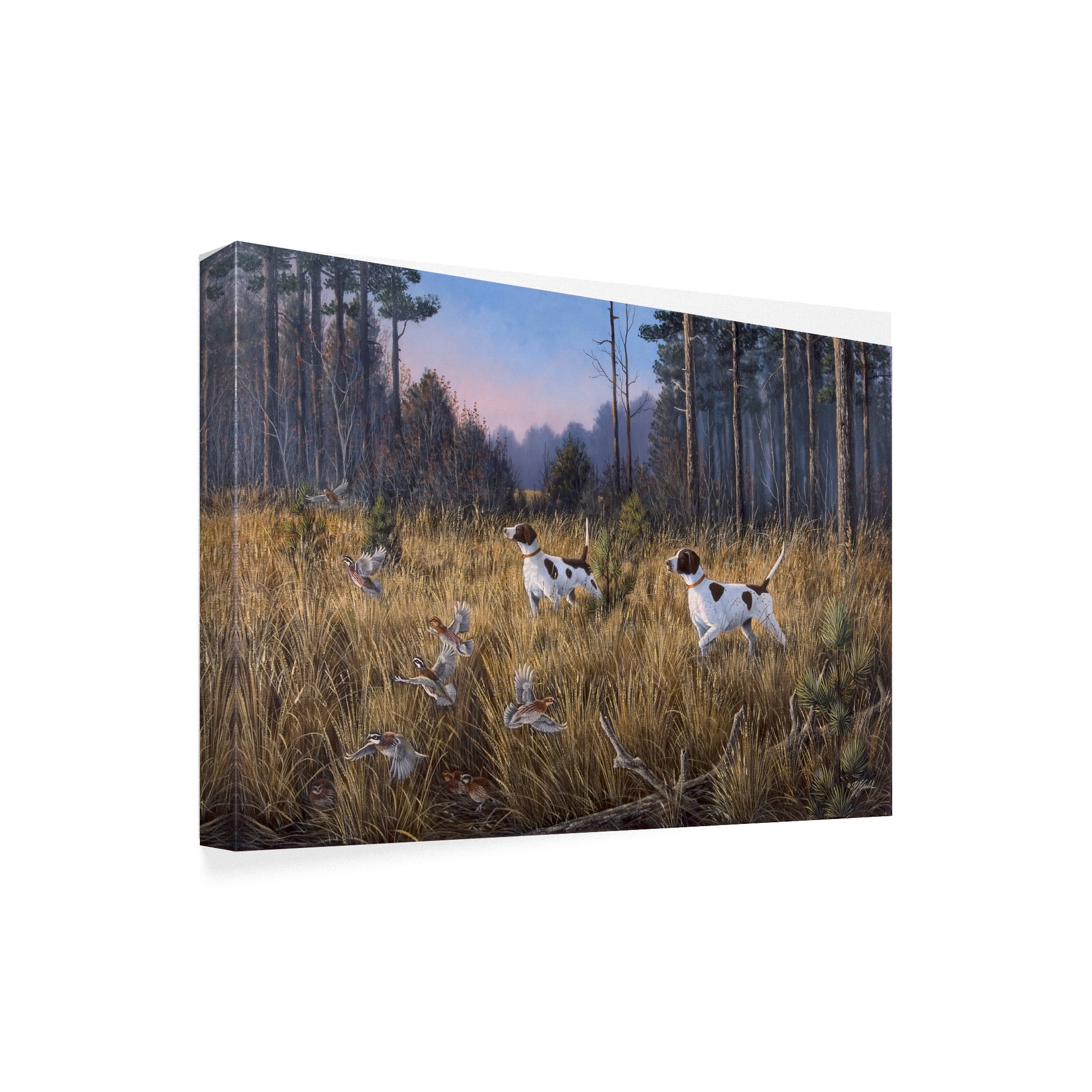 Trademark Fine Art 'Flushed' Canvas Art by Wilhelm Goebel