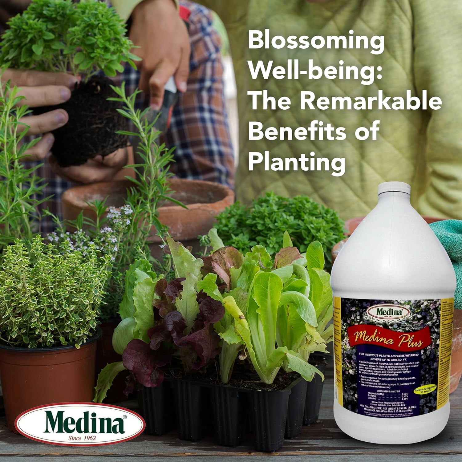 Medina Plus Liquid Fertilizer - Blooming and Fruiting Enhancer - 128 fl oz Jug by Medina