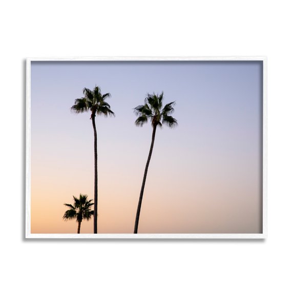 Stupell Industries Tropical Tall Palm Trees Sunrise Sunset Photography , 30 x 24, Design by Kathy Mansfield