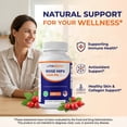 thumbnail image 6 of Vitamatic Rose Hips 1500 mg per Serving (Rosa Canina) – 120 Capsules – Non-GMO, Gluten Free Herbal Supplement – Rich in Natural Vitamin C & Antioxidants – Immune Support – Made in USA, 6 of 10