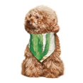 thumbnail image 4 of Naloa Cactus And Succulent Dog Bandanas 1PC Washable Triangle Dog Scarfs Premium Durable Fabric, for Small Medium Large Dogs and Cats, 4 of 6