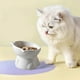 thumbnail image 5 of Elevated Cat Food and Water Bowl, Ceramic Raised Feeder Dish for Neck Health, Whisker Relief, Anti Vomiting, Slow Eating, Pet Dining Bowls for Cats and Small Dogs, Non-Slip Wide Shallow Design, 5 of 6