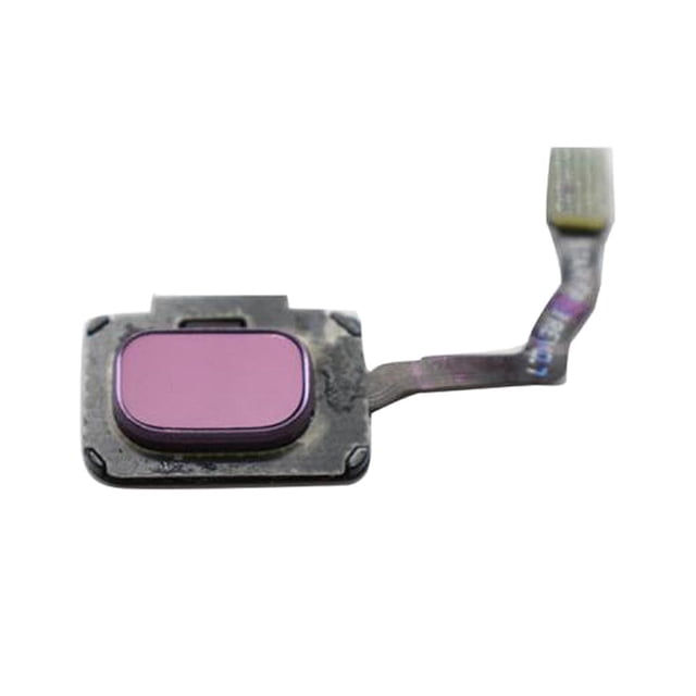 Pieza de repuesto del cable flexible del sensor de dactires para S9 - Púrpura Sunnimix Sensor de huellas dactilares Cable flexible