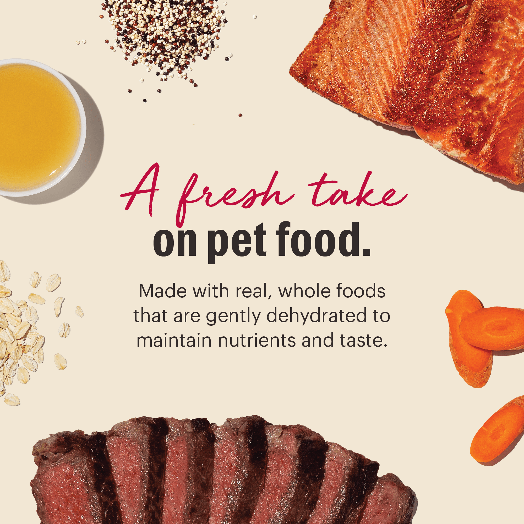 The Honest Kitchen Dehydrated Gourmet Grains Beef & Salmon Dog Food, 4 lb Box