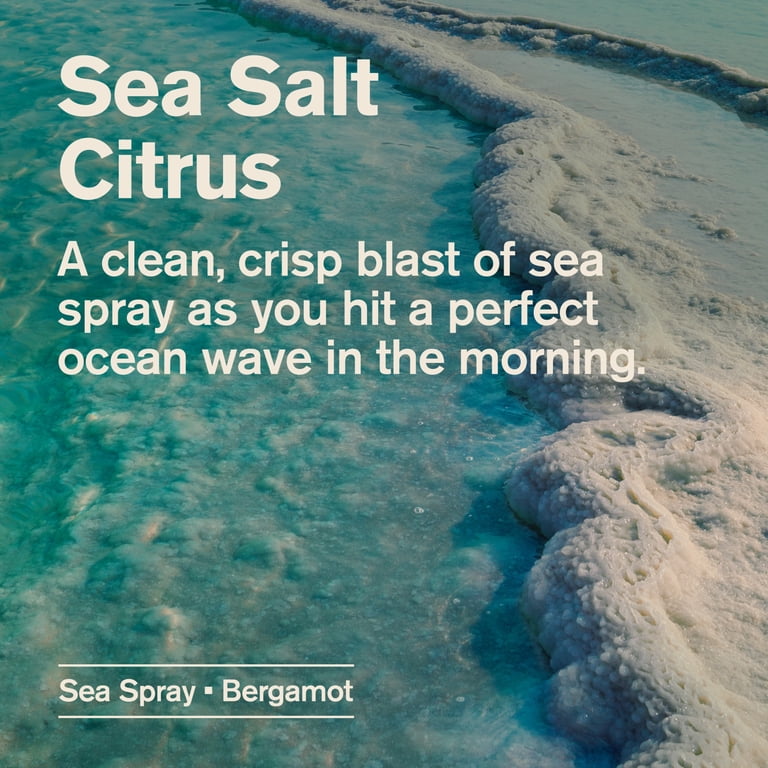 Every Man Jack Sea Salt Citrus Antiperspirant Deodorant photo 7
