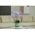 thumbnail image 5 of 27.5" Artificial Faux Purple Orchid Arrangement in Planter | Real Touch Purple Moth Phalaenopsis Orchids, 5 of 6