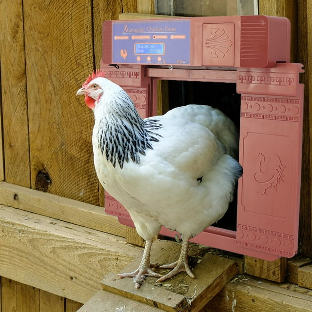 Puerta Solar Para Gallinero, Puerta Automática Con Temporizador Y Sensor De Luz, Sensible Al Tacto, Funciona Con Energía Solar, IP45 A Prueba De Agua, Para Pollos, Patos, Gansos