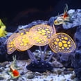 thumbnail image 3 of Unique Bargains Aquarium Simulation Coral Silicone Fluorescent Coral Glow Ornaments Fish Tank 2.36"x3.15" Orange, 3 of 7
