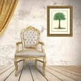 thumbnail image 3 of Van Houtteano, Horto 12x14 Gold Ornate Wood Framed with Double Matting Museum Art Print Titled - Small Palm of the Tropics I, 3 of 4