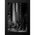thumbnail image 2 of Rowland, Joseph 13x18 Black Modern Framed Museum Art Print Titled - Silence, 2 of 5
