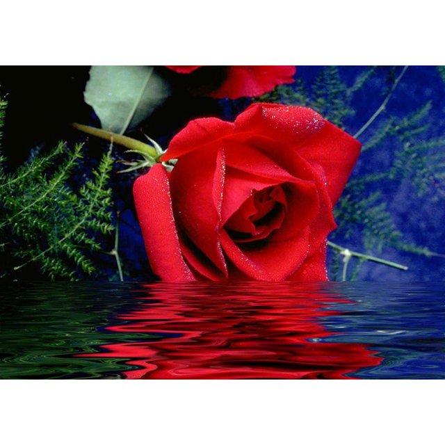 Pintura de diamante (DB3165) 5D flor cuadrada diy bordado sala de estar (YF040) 45x60cm Hugtrwg Para estrenar