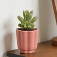 thumbnail image 2 of Mainstays Arlo 4" x 4" x 4" Round Coral Peony 100% Recycled Resin Planter, 2 of 9