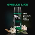 thumbnail image 4 of AXE Fine Fragrance Collection Body Spray 72 Hour Freshness Emerald Sage Aluminum Free, 2.9 oz, 4 of 10