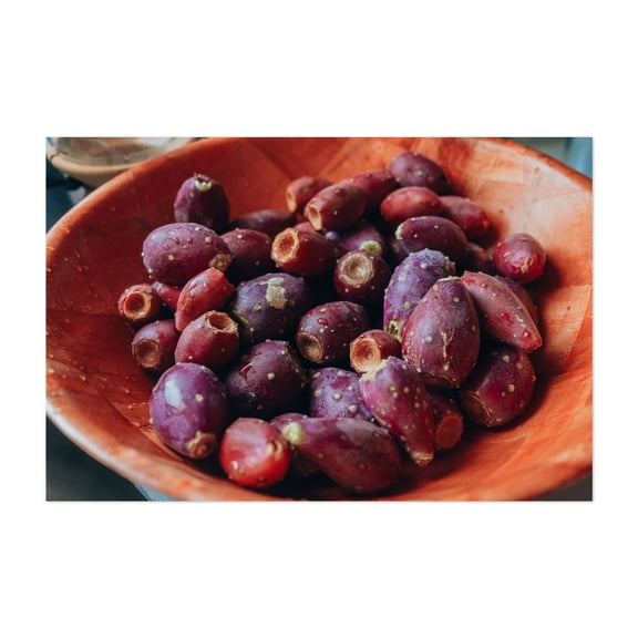 PRICKLY PEAR HARVEST - Photography Fruit Cactus Kitchen Decor Botanical Rustic Desert Tropical Unframed Wall Art Print 4 x 6 inches