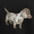 thumbnail image 3 of CafePress - Speckled Dachshund Dog Women's Dark Pajamas - Women's Short Sleeve Print T-Shirt and Pants Dark Cotton Pajama Set, 3 of 7