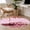 Pink Crimson LightPink, variant on Round Area Rug 4 Ft, Valentine's Day Washable Non-Slip Circle Carpet for Living Room/Bedroom, Romantic Love Roses Truck Ombre Pink Low-Profile Crawling Mats Collection Rugs for Indoor